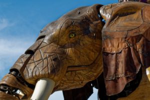 elephant-4306251_1920